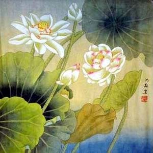 shenmei_lotus_lg (39K)